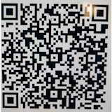 Languages Petition QR Code